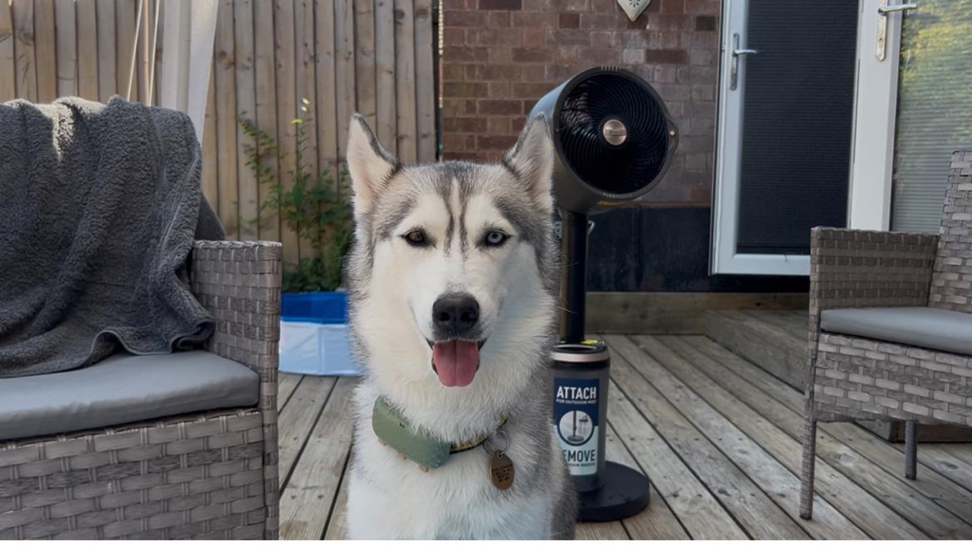Customer photo