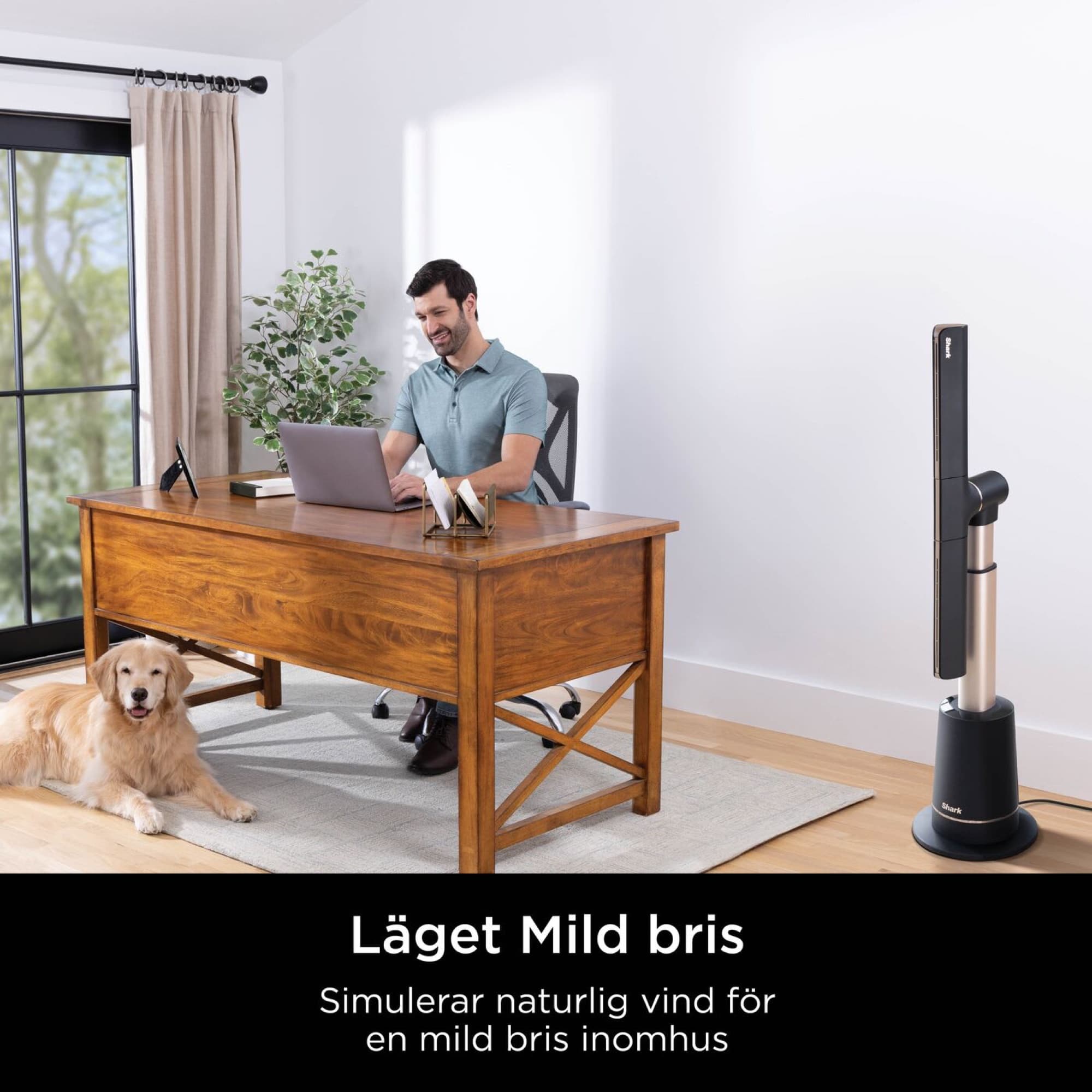 Gentle Breeze mode by the desk