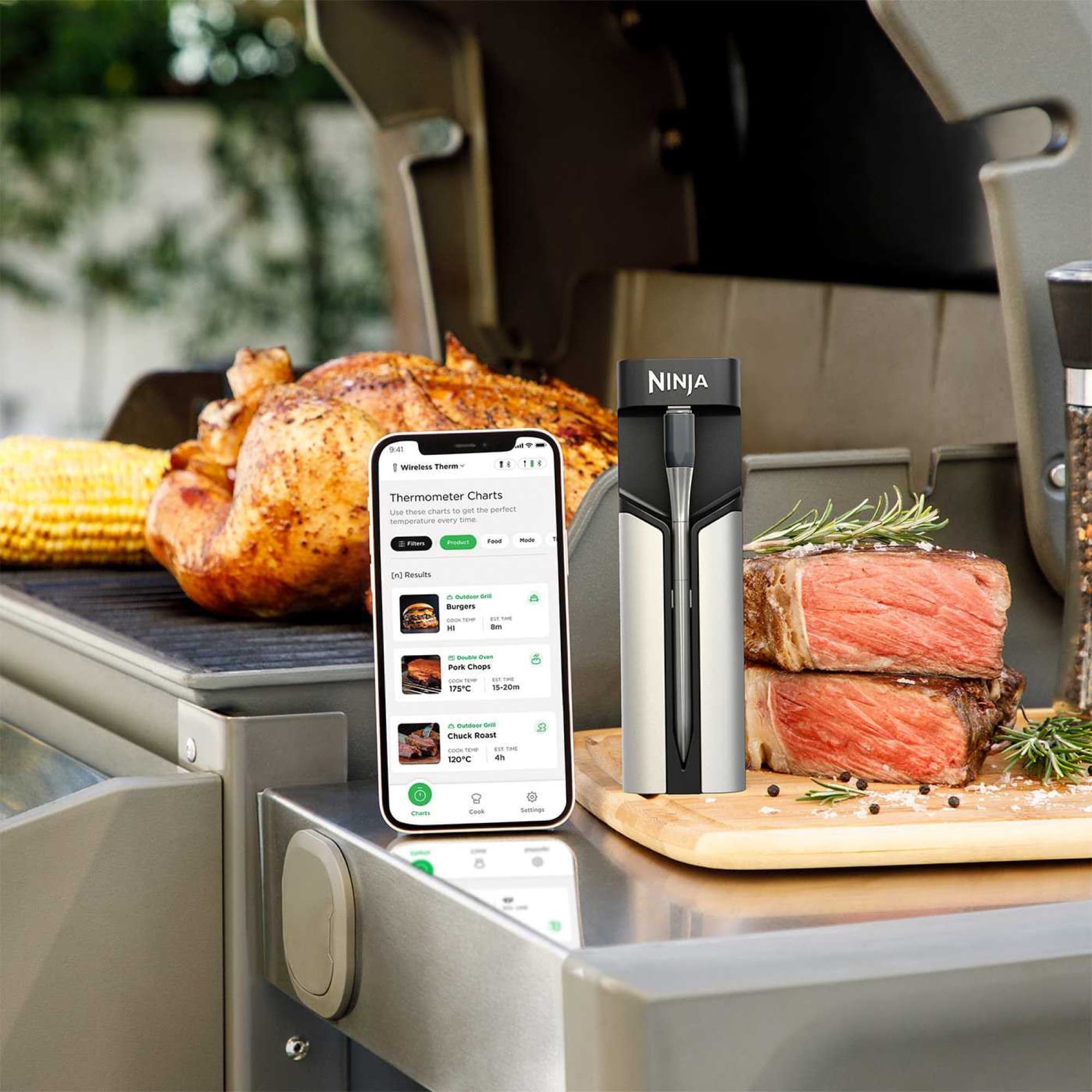 Chicken and steak on the grill with the thermometer
