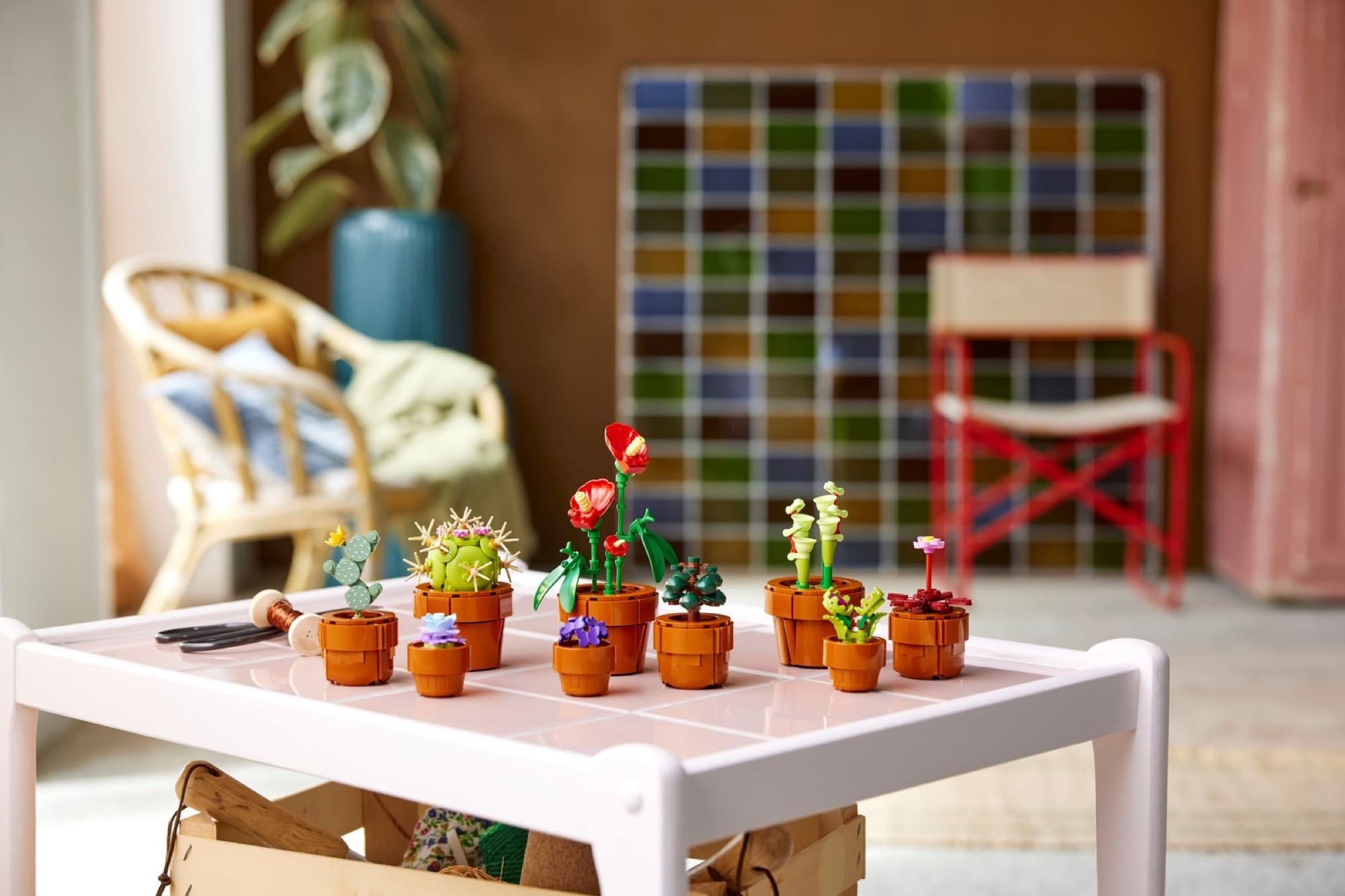 Tiny plants in pots – detail 2