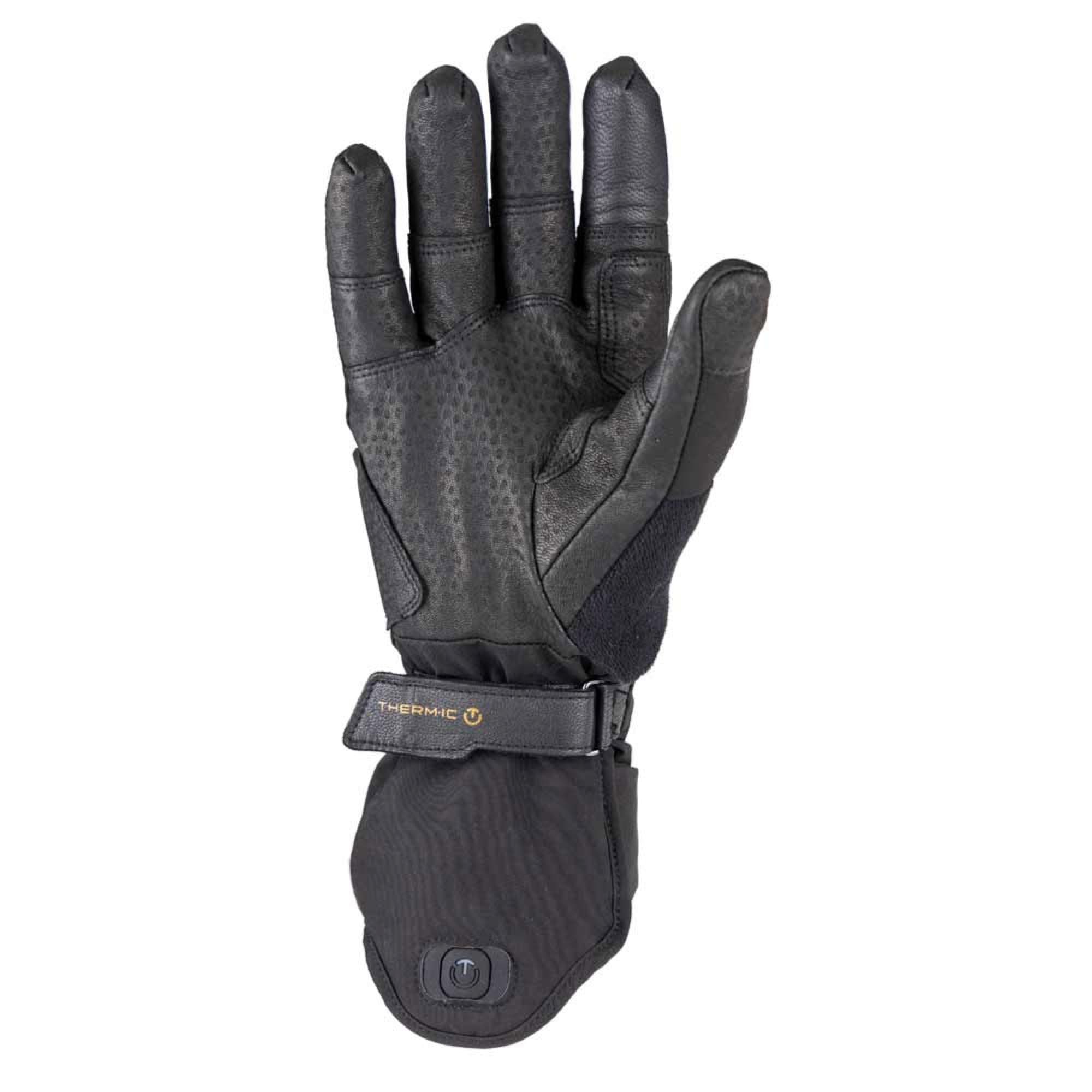 The leather palm