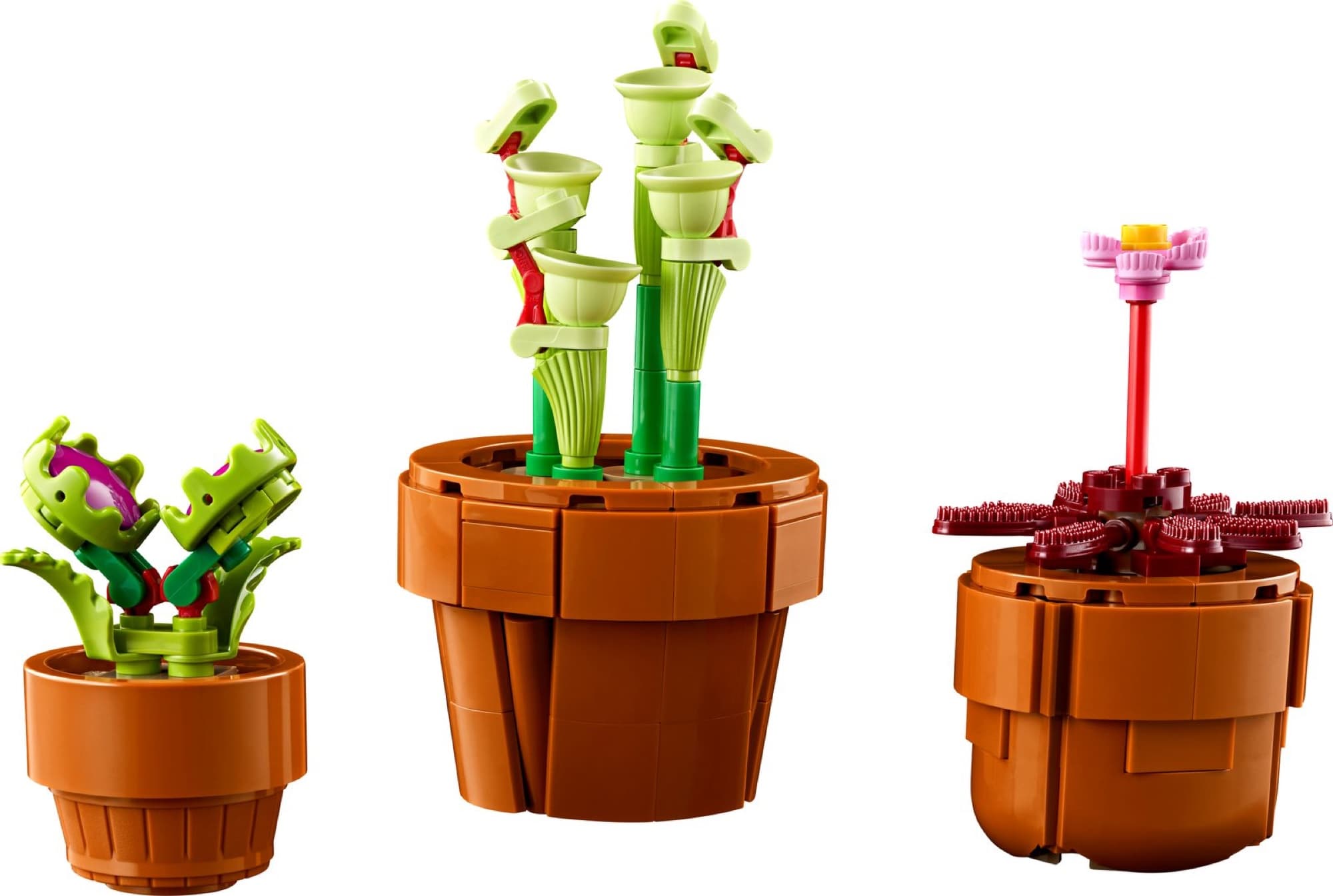 Tiny plants in pots – detail 5