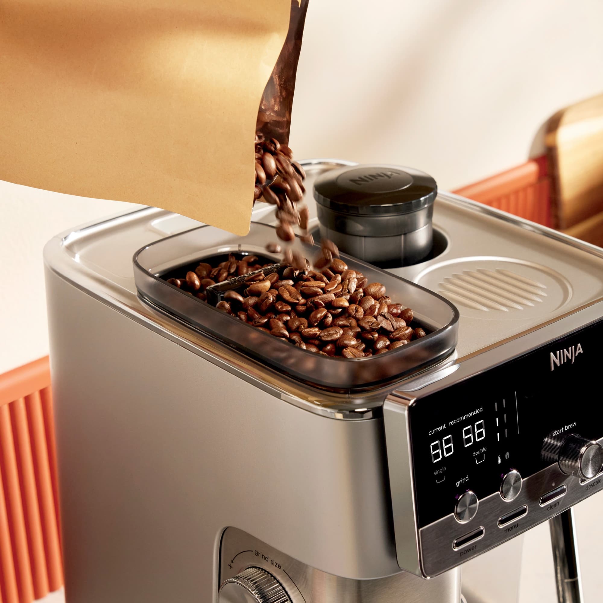 Coffee beans poured into the bean hopper