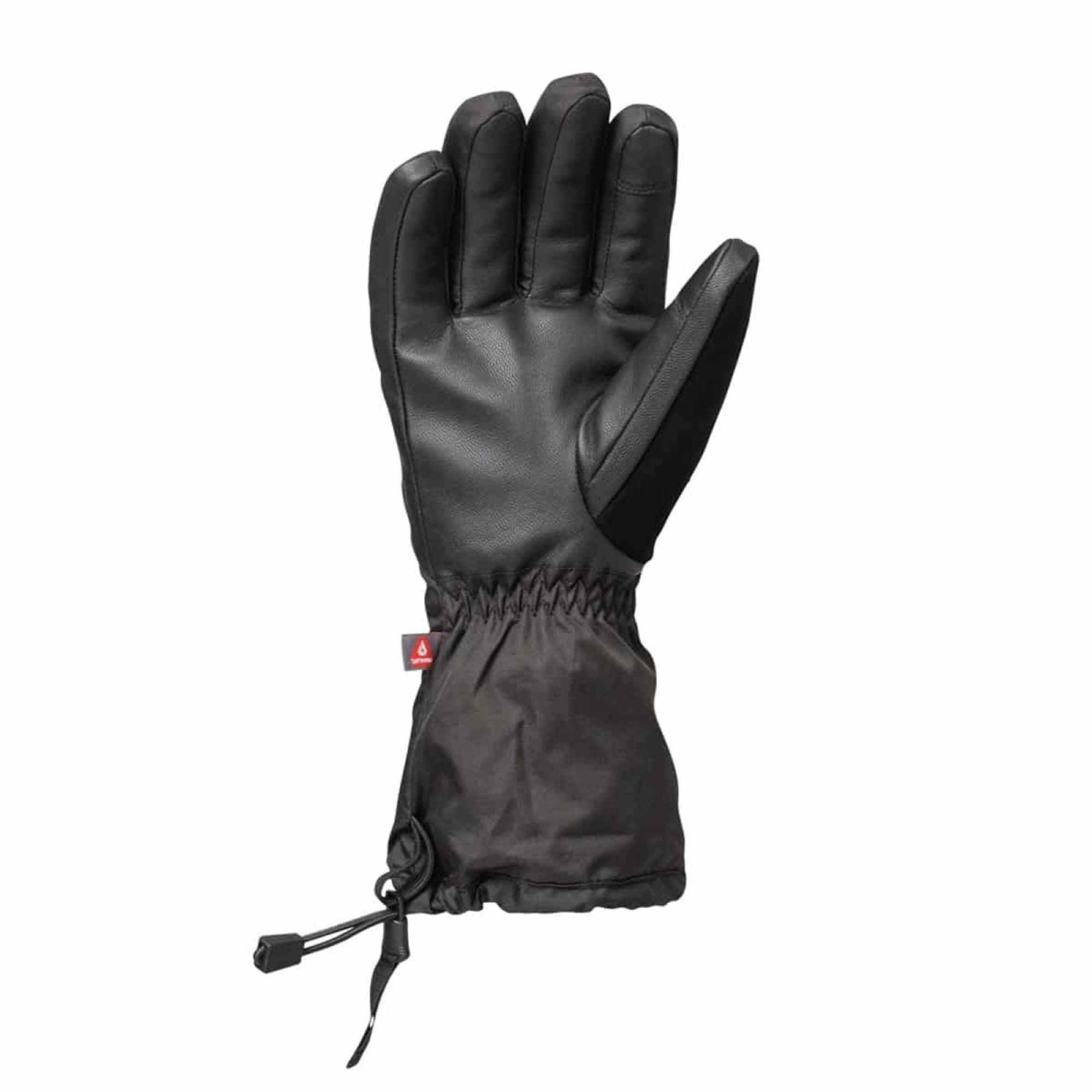 The goatskin palm