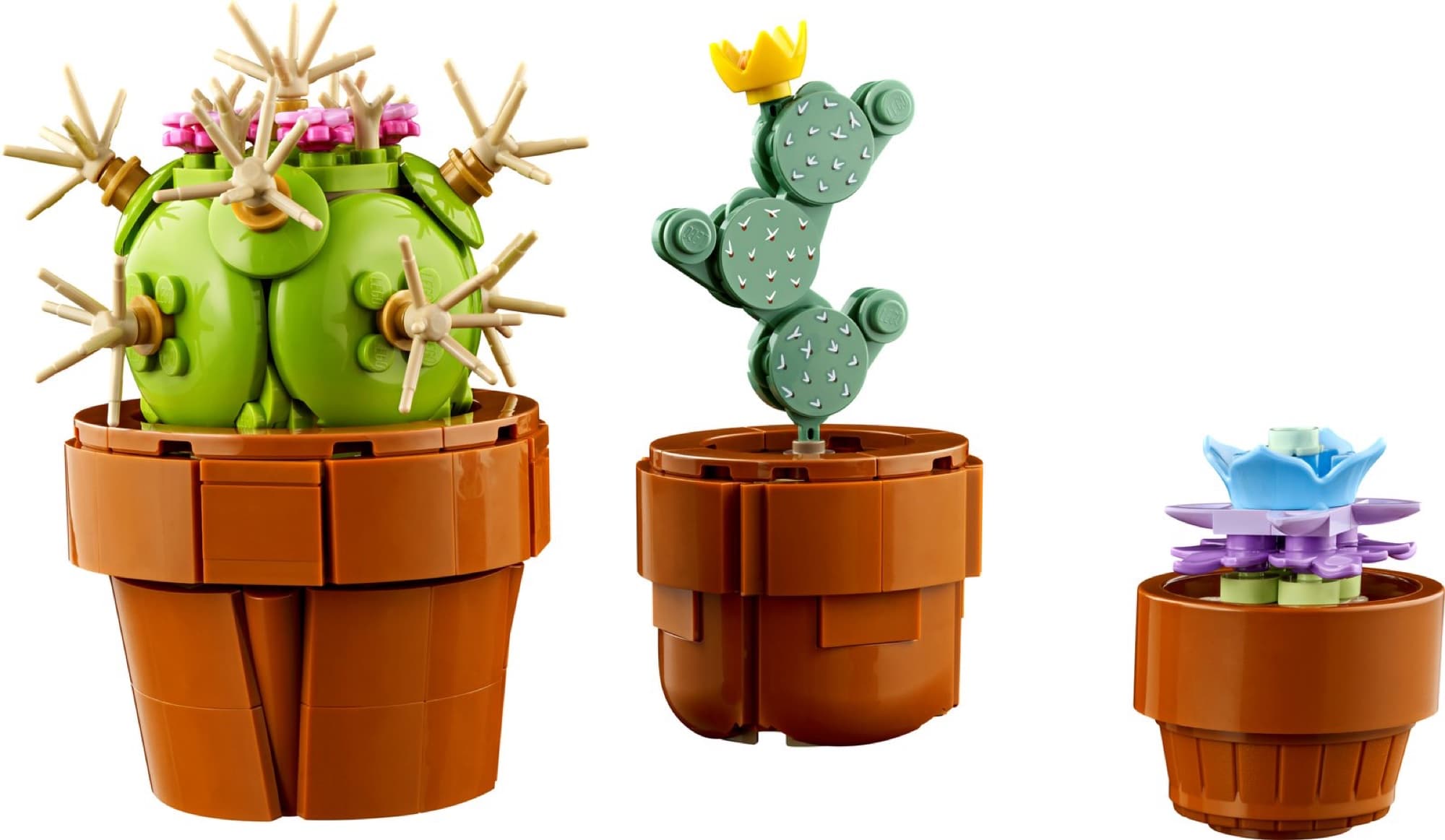 Tiny plants in pots – detail 3