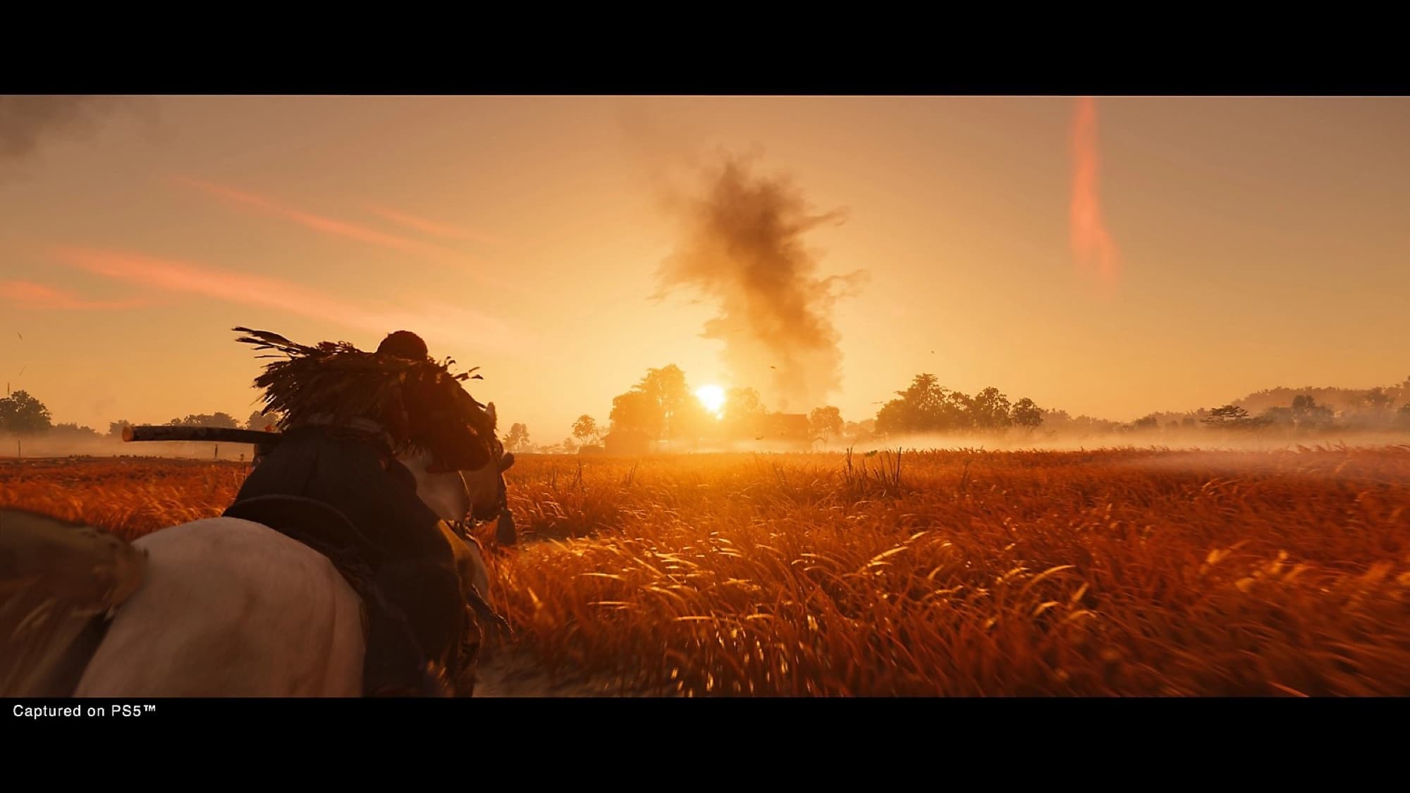 Image from Ghost of Tsushima Director's Cut