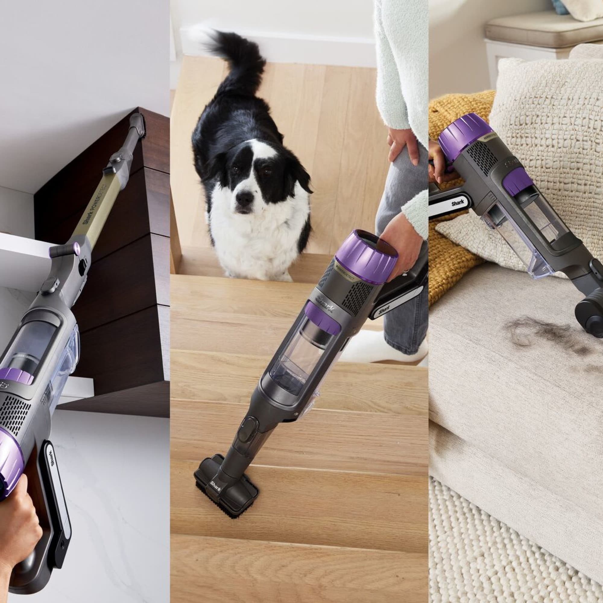 The handheld with tools on a shelf, stairs and sofa
