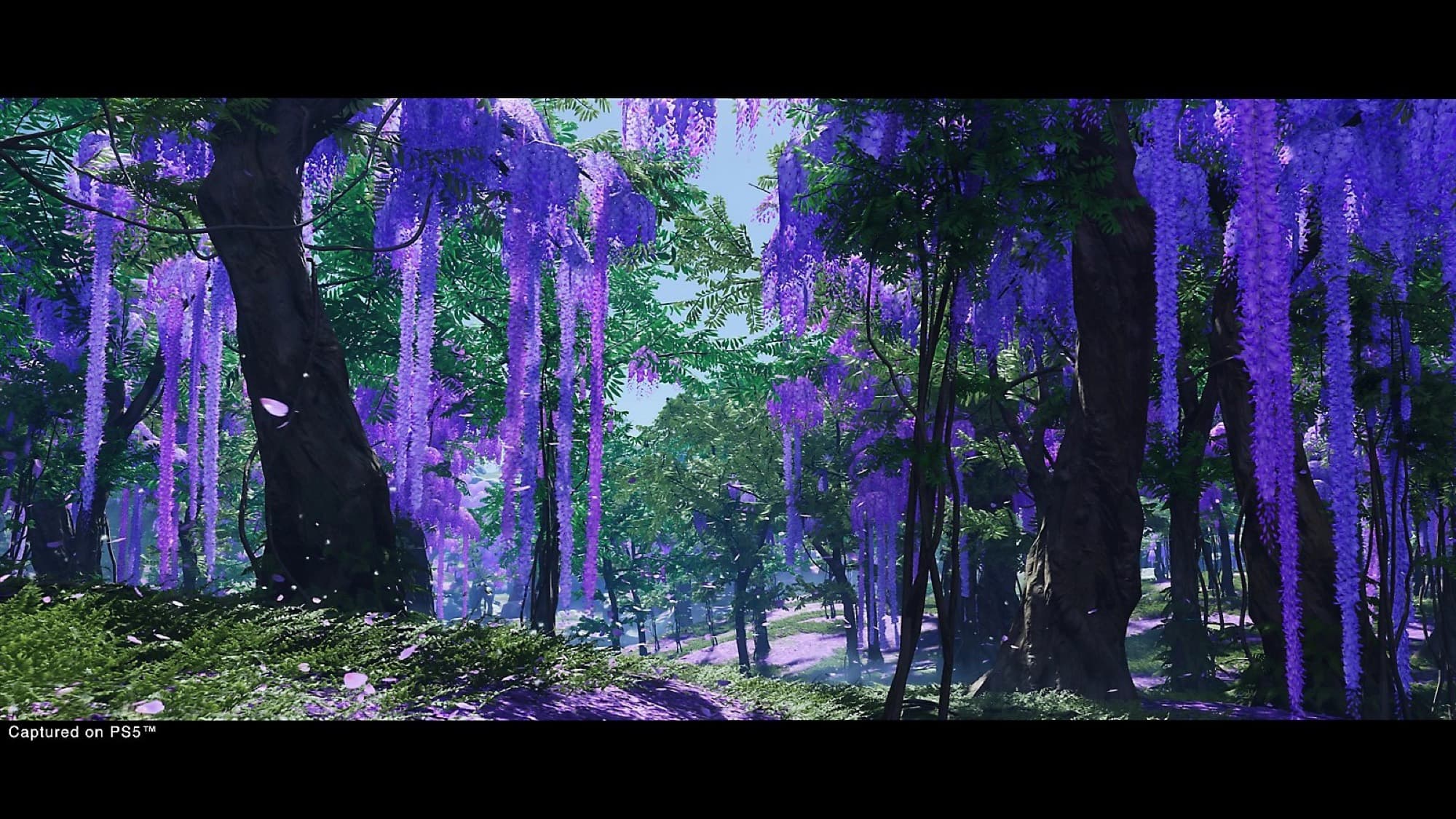Image from Ghost of Tsushima Director's Cut