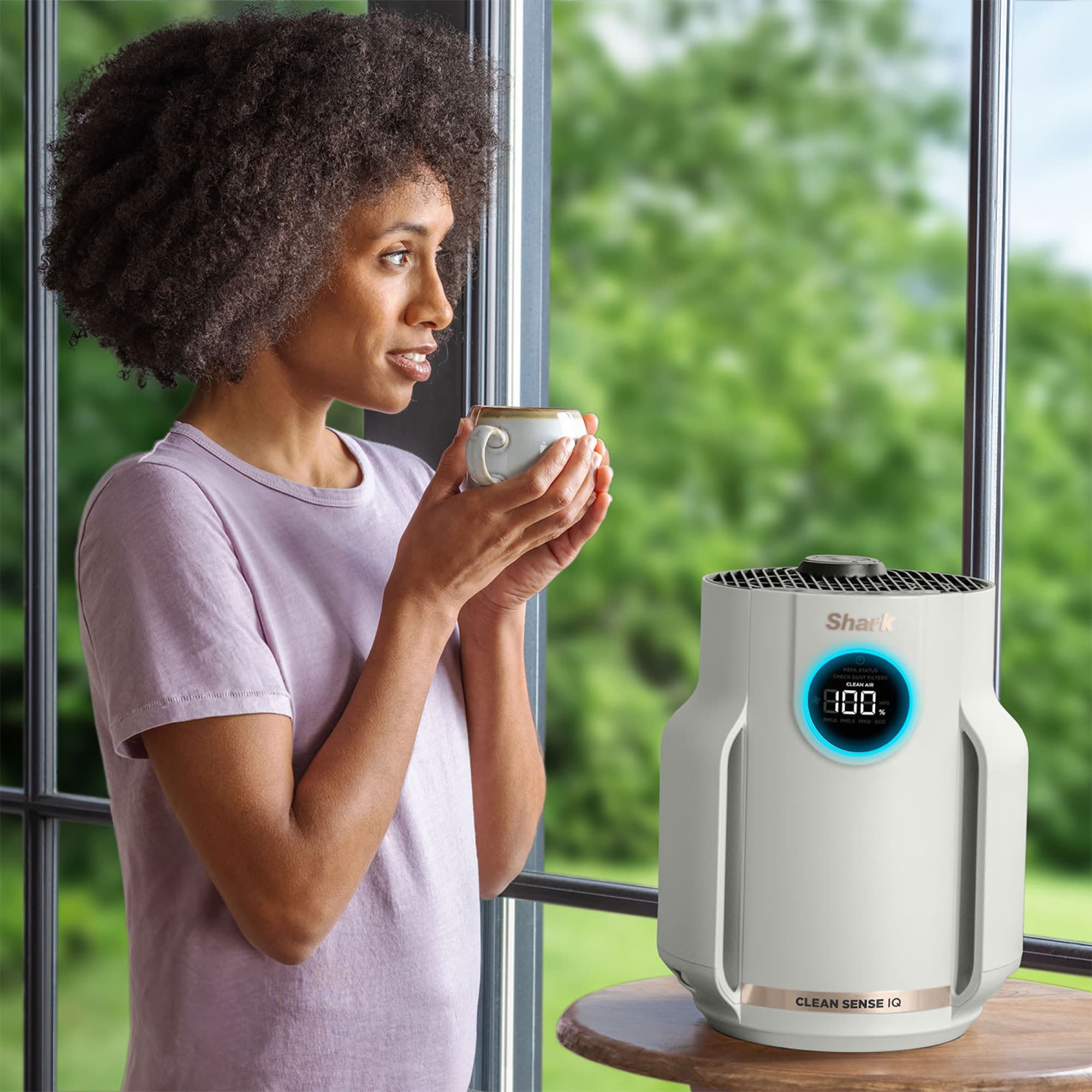The air purifier by the window
