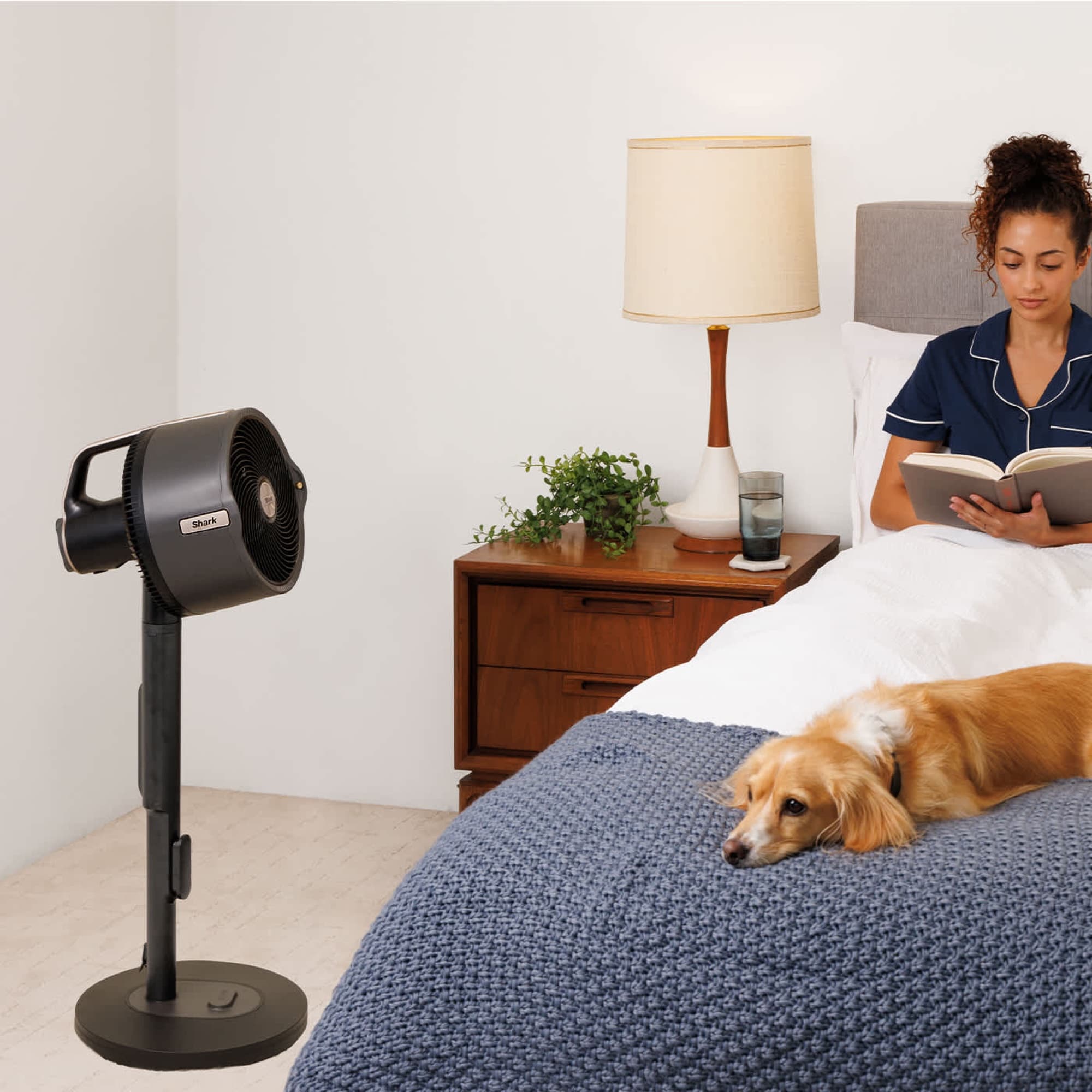 The fan by the bed in the bedroom