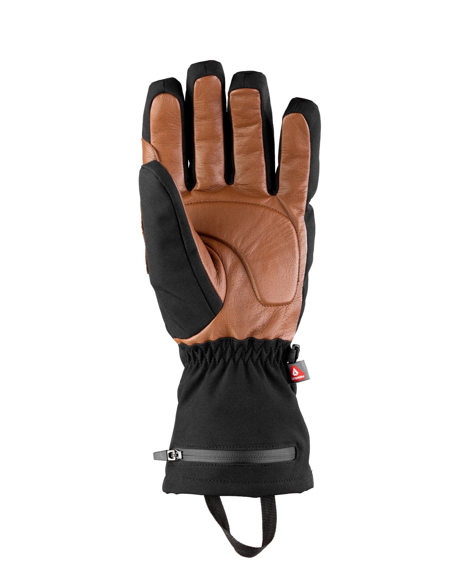 The goatskin palm