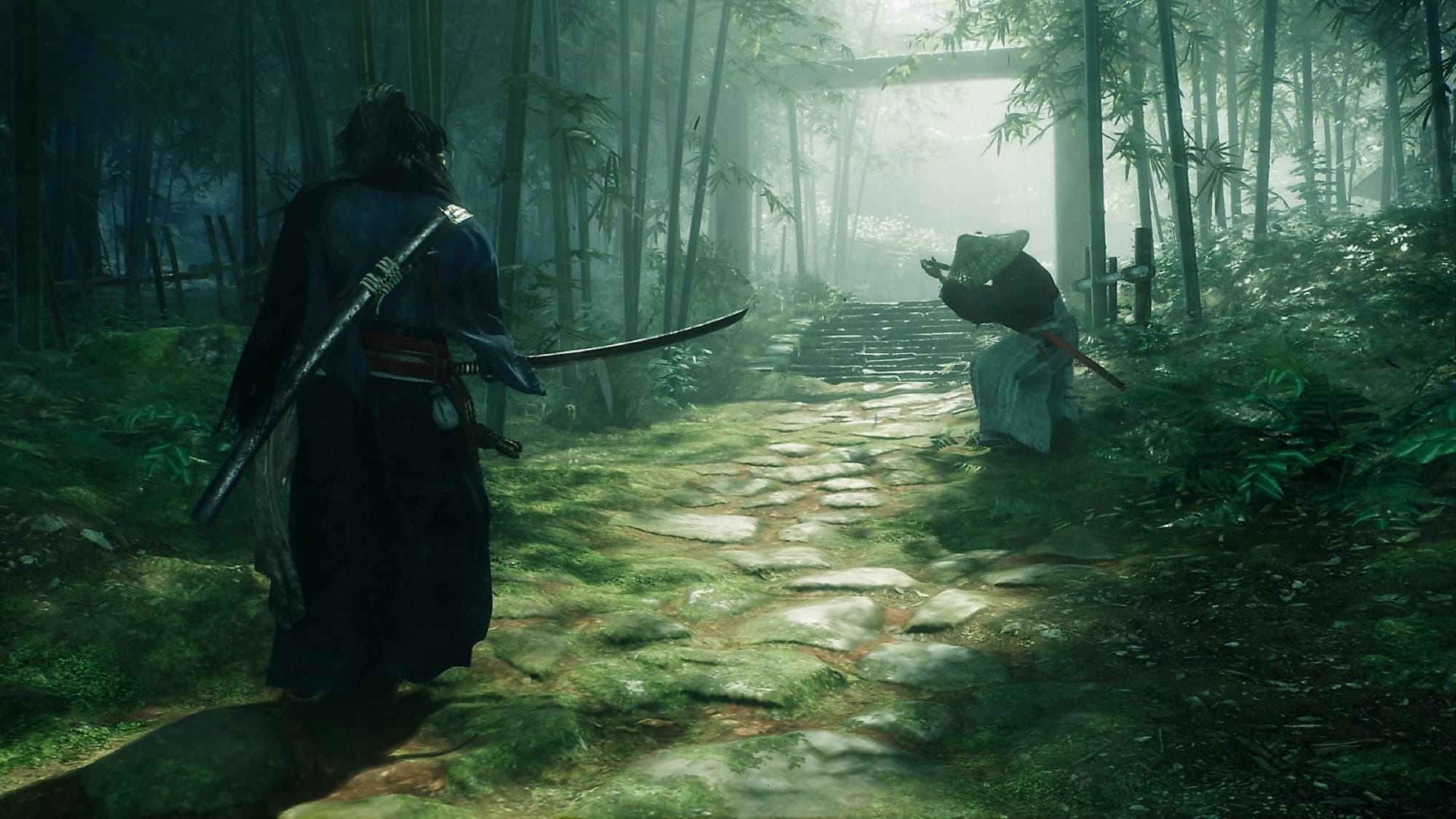 Image from Rise of the Ronin