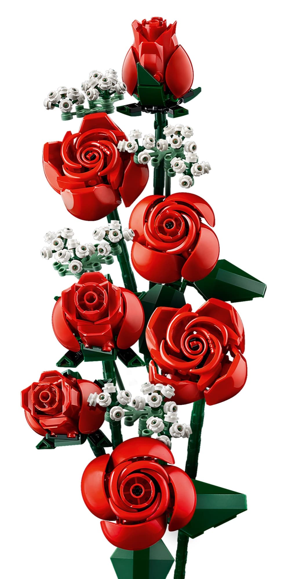 Bouquet of red roses – detail 4