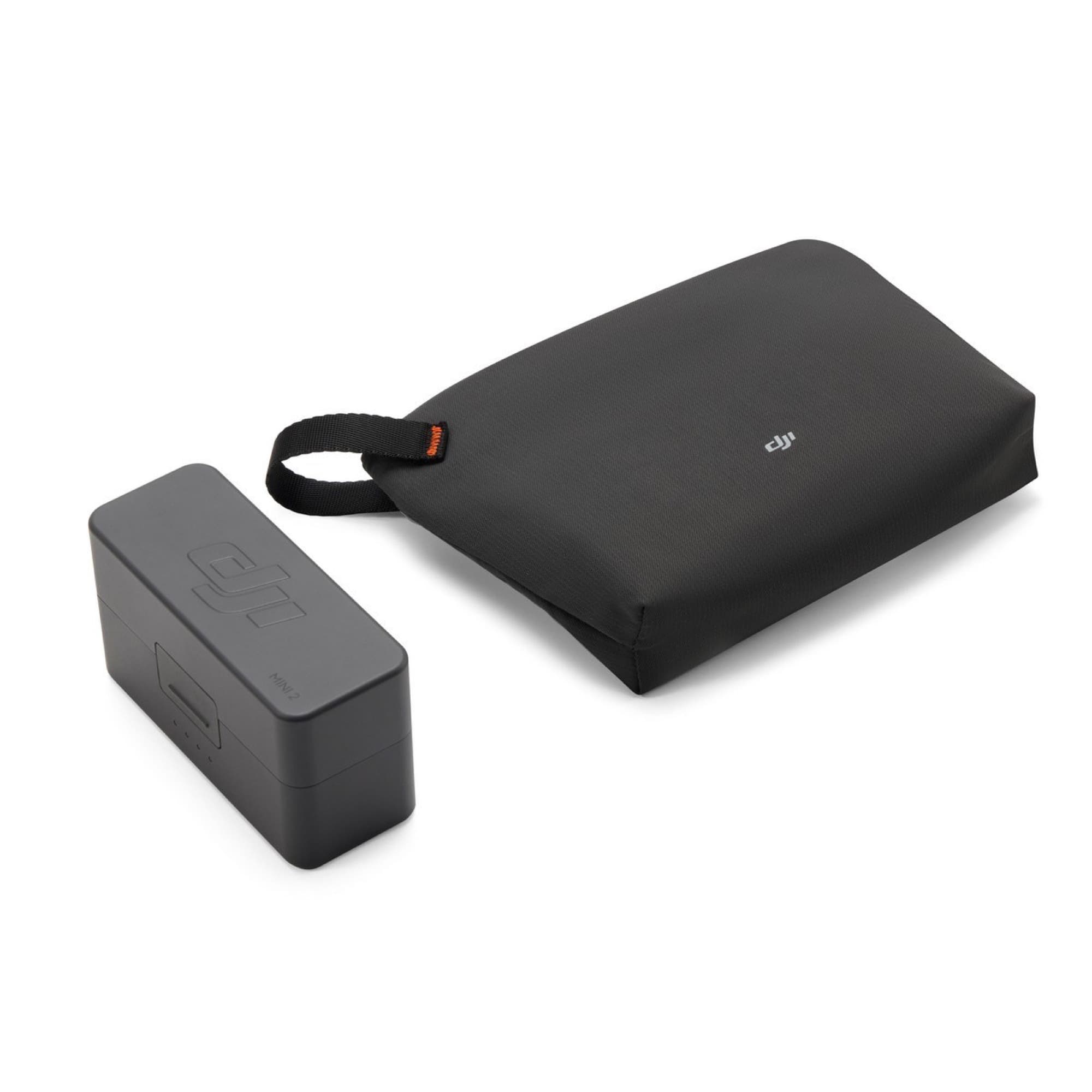 The large case with carry pouch