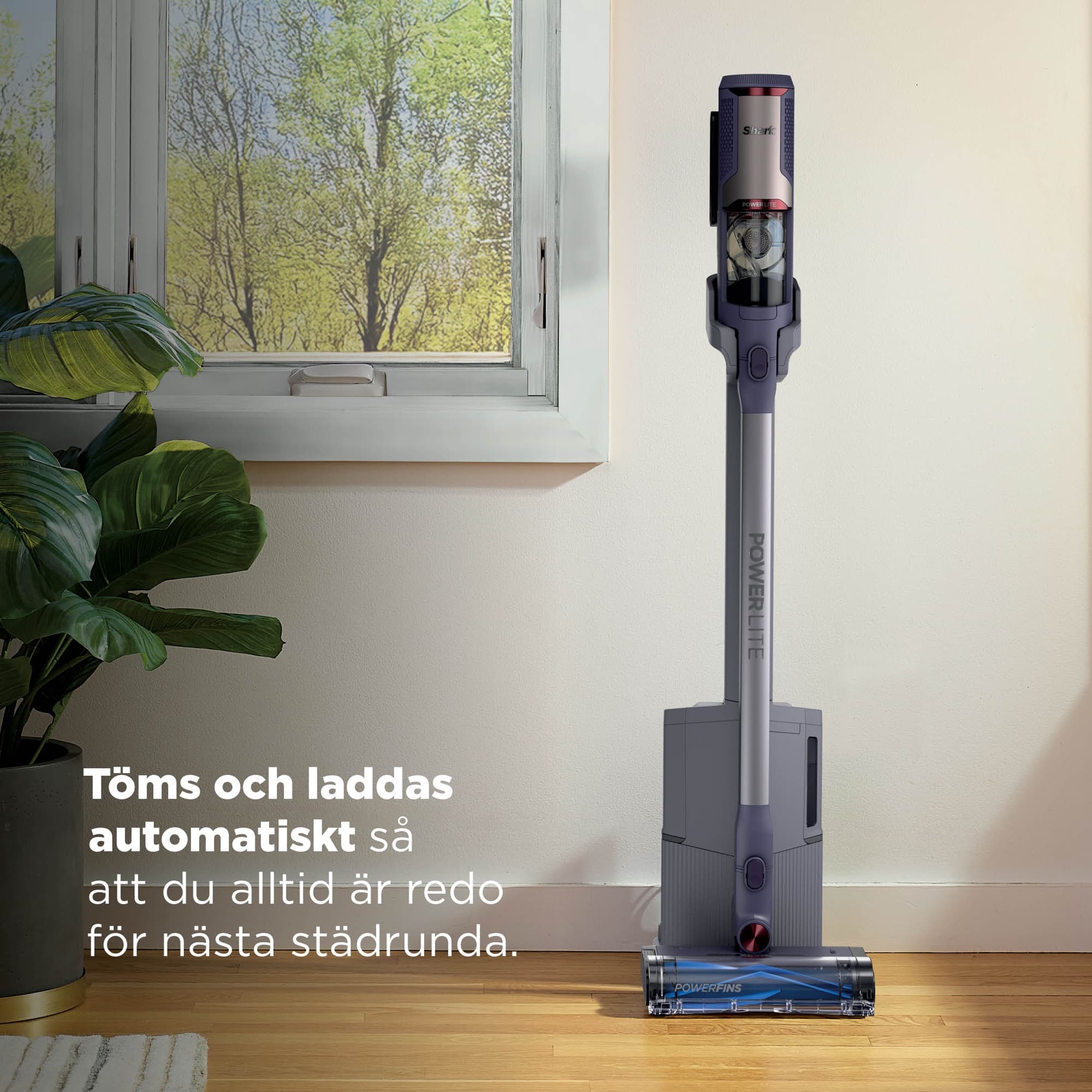 The vacuum stands in its base by the window