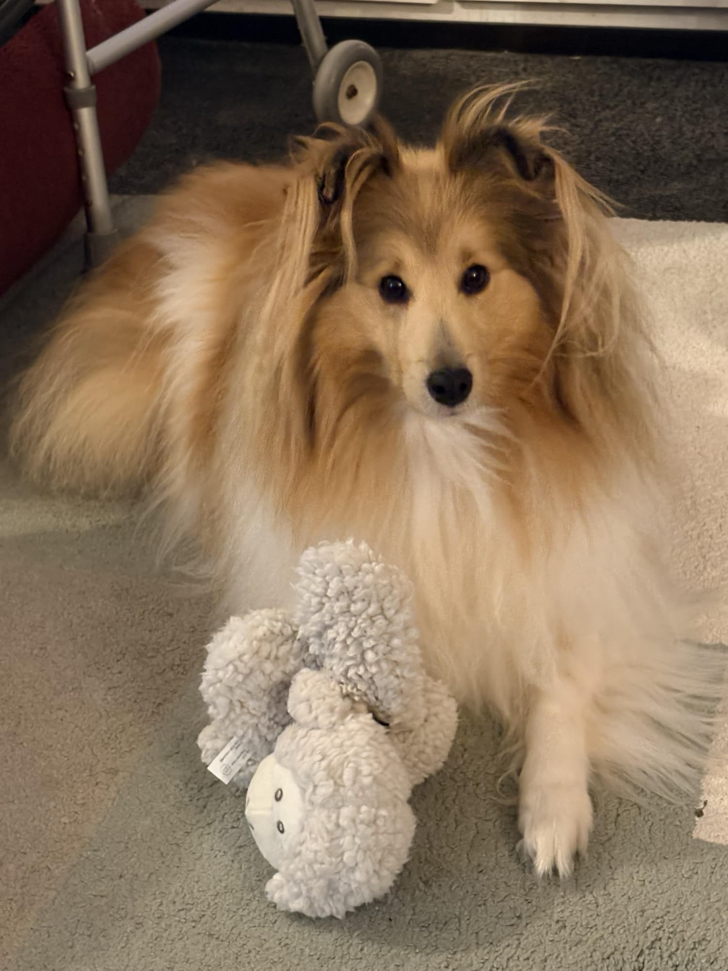 Customer photo