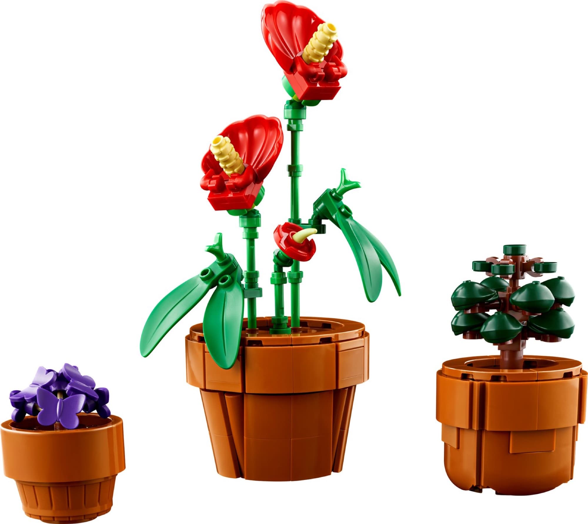 Tiny plants in pots – detail 4