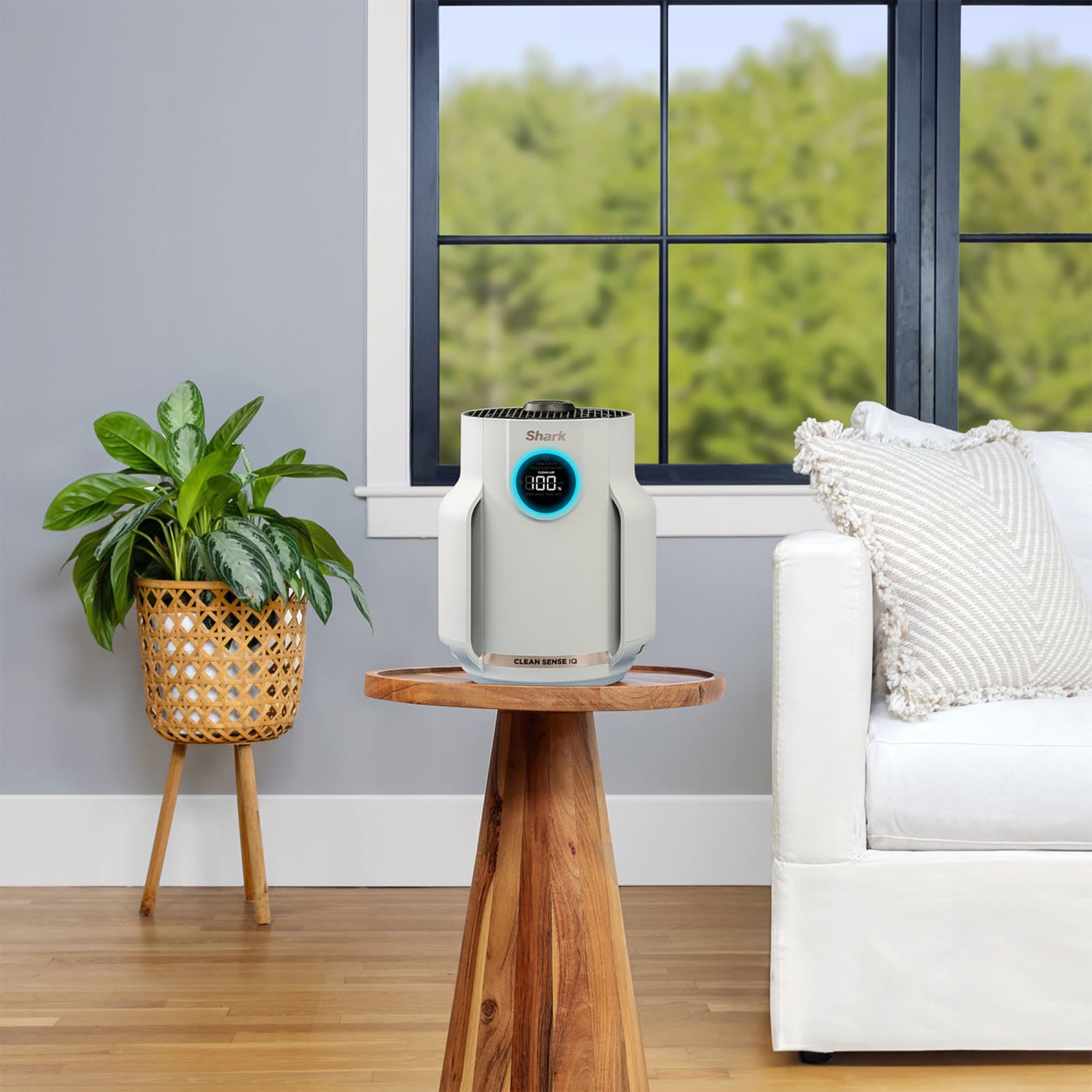 The air purifier on a side table in the living room