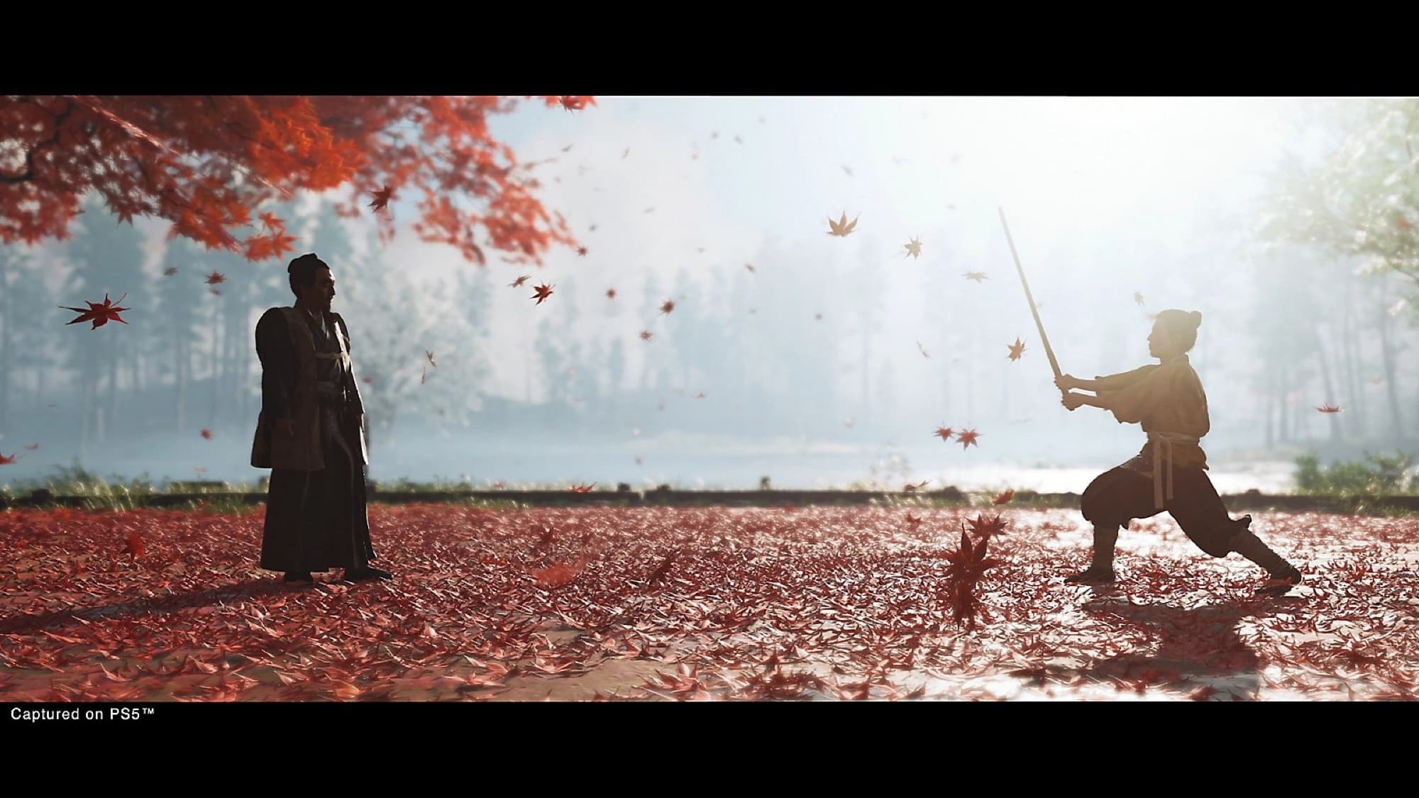 Image from Ghost of Tsushima Director's Cut
