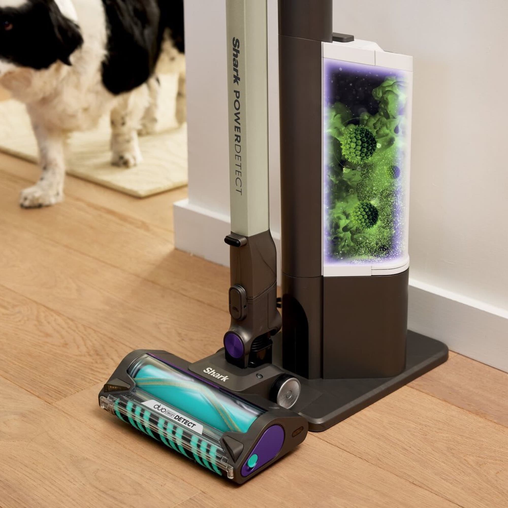 The vacuum stands in its base as the dog walks past