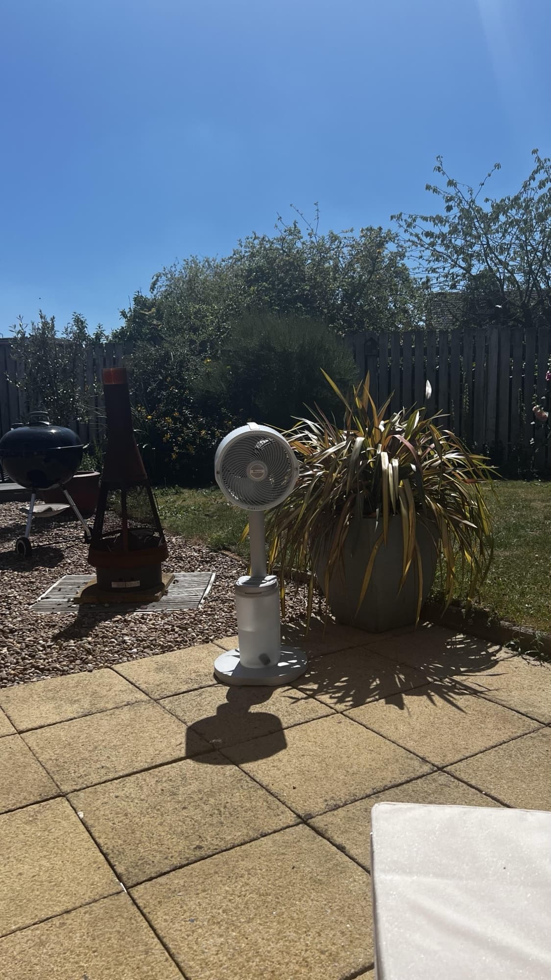 Customer photo
