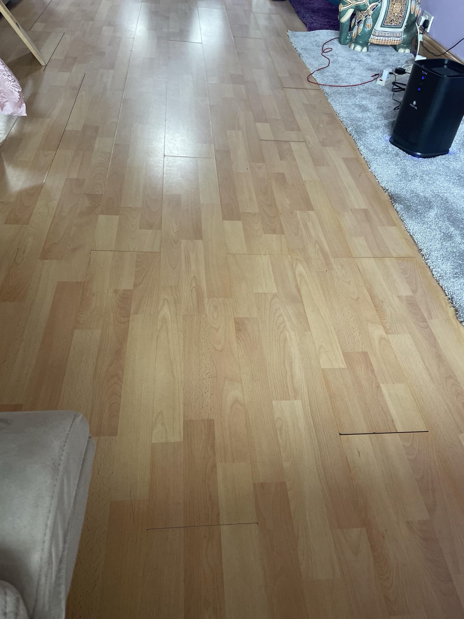 Customer photo