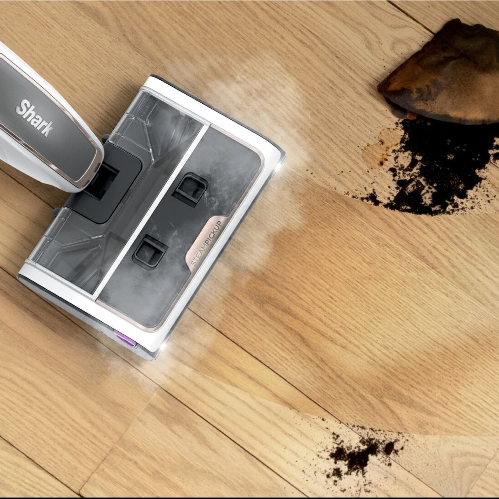 Crumbs and soil picked up from the wooden floor